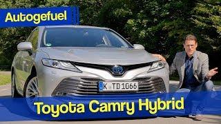 Can the Toyota Camry also be successful in Europe? Hybrid REVIEW!  Autogefuel