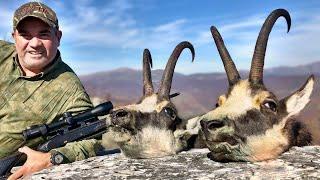 Chamois hunting in the Carpathians - Caza de rebecos én los Carpatos - Gamsjagd in den Karpaten