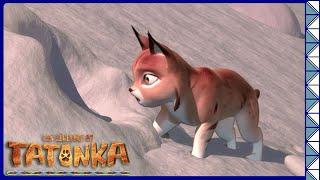 Les loups découvrent l'hiver | Tatonka | Dessins animés d'animaux