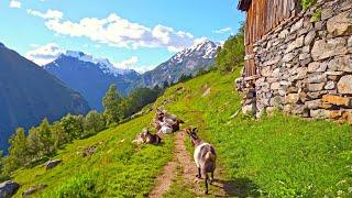 Walking around Geiranger, most beautiful Village of Norway