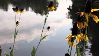 Conway's Waccamaw River