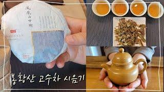 차를 마시고/ 봉황산 고수차 시음기