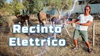 Recinto Elettrificato per Animali di Gemi Elettronica con Recinto Elettrico Elettrificatore B/12