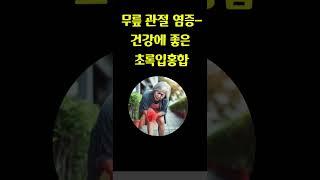 무릎통증 관절염에 좋은 초록입홍합 #와이즈케어 #wisecare #건강기능식품 #건강보조식품 #영양제 #무릎건강 #영양제