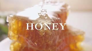 [ 씨즐영상 ] 벌집꿀 Honeycomb