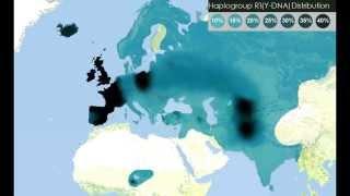 Y-DNA Haplogroup in world