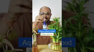 Aqua Plant Food - Fertilizer for lucky Bamboo & fertiliser for money plant in water