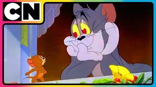 Tom and Jerry | Bachelorate for Toodles! | Compilation | Cat and Mouse | @cnindia