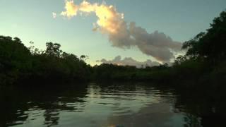 the Prouty Project - Stretch Expedition: Peruvian Amazon