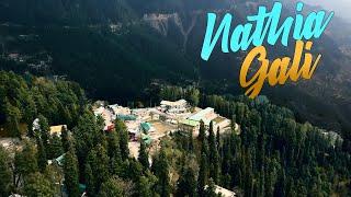 Beauty of Nathia Gali - 5 Reason Why Galyat is So Famous Among Tourists