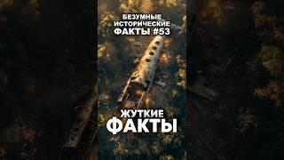 Жуткие факты. Мурашки!  #факты #хочуфакты #историческифакты
