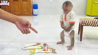 Monkey Lily disobeyed dad and then...|Part 1