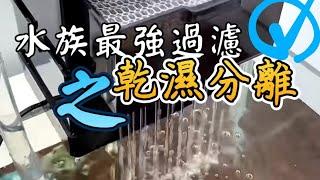 水族最強過濾機制--乾濕分離