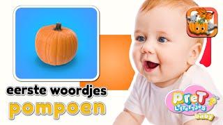 Baby Eerste Woordjes • Pompoen • Baby TV Nederlandse Baby Filmpjes • Eerste Woordjes leren