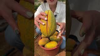 Beautiful Nature - Inspur Fresh Fruit wonderful video of Industry #8002