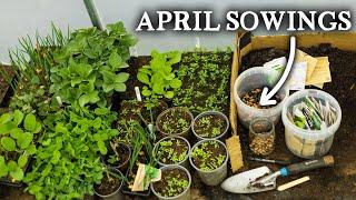 What to Sow in April for Self-Sufficiency