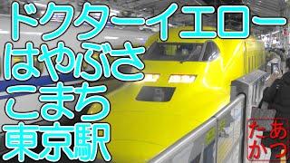 【ドクターイエローのぞみ上り検測 夜の東京駅 】東北・上越・北陸新幹線 はやぶさ こまち つばさ他