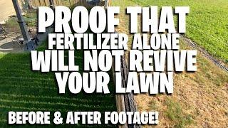 Fertilizer alone won't revive your lawn! Before and after proof Watch this before you throw away $30