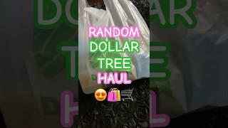 ..one item is ‼️ #dollartree #dollartreehaul #dollartreehauls #dollartreehauler #dollartreehaulers