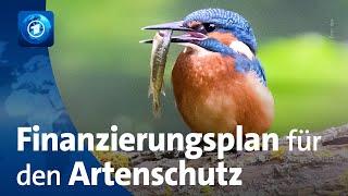 Weltnaturkonferenz einigt sich auf Finanzierung für weltweiten Umwelt- und Artenschutz