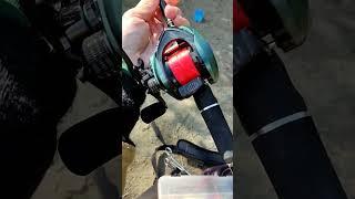 Новая катушка радует! #fishing #reels #рыбалка #мультипликатор #daiwa #катушка