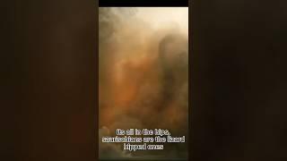 the difference between saurischian and ornithischian (dinosaurs)
