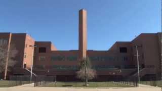 New Dorp High School