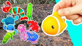 Learn Sea Animal Names at the Stream for Babies Toddlers Preschoolers Kids: Jellyfish Clown Fish