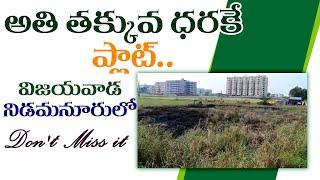 అతి తక్కువ ధరకే ప్లాట్ | విజయవాడ |Sai Krishna Properties and Constructions