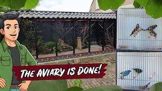 Finishing my Amazing Aviary, Adding the Birds