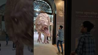 dinosaur real video 