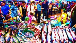 Early Morning Supply Fish Market. Fish, Shrimp, Squid, Lobster, Crab, Cambodian Street Food Market