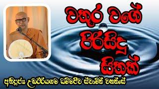 වතුර වගේ පිරිසිදු සිතක් | Ven.Udairiyagama Dhammajiva Thero@rev.ridiyagamaindalokathero