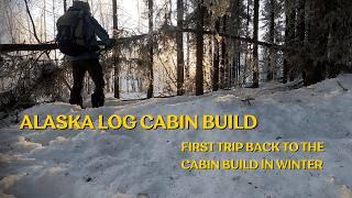 First Solo Trip Back to the Off Grid Cabin Build Site Since Winters Return