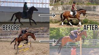 MY OTTB'S INSANE 3 MONTH TRANSFORMATION