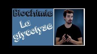 Cours de biochimie: Glycolyse