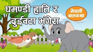 घमण्डी हात्ति र दुईवटा भंगेरा  |  Elephant and Two Bird Story | Nepali Stories