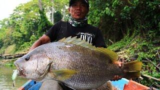 Going Beast Mode Vol.3: Papuan Bass Mantap with Gong Lei