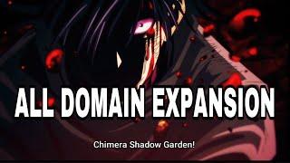 Jujutsu Kaisen All Domain Expansion