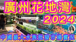 【廣州花地灣/花鳥魚/寵物批發市場】稀有奇珍🩵抵買趣緻動物火災後實況店主分享香港至廣州路線