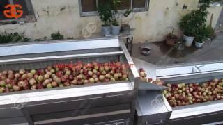 brush type fruit vegetable washing machine| peach washing machine