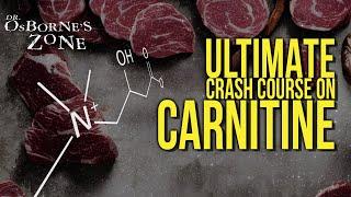 Ultimate Crash Course on Carnitine - Dr. Osborne's Zone