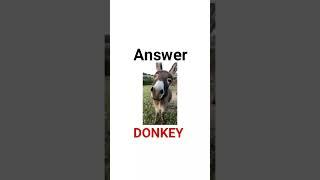 What is the puzzle saying? #puzzles #imagepuzzle