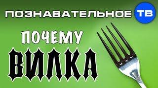 Почему она ВИЛКА? (Познавательное ТВ, Артём Войтенков)