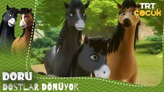 Doru | Dostlar Dönüyor