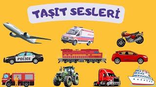 Taşıt Sesleri / Çocuklar İçin Arabalar, Kamyonlar, Gemiler / Gerçek Araç Sesleri /Okul Öncesi Sesler