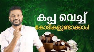 കപ്പ വച്ച് കോടികളുണ്ടാക്കാം! Profitable Business Idea using Tapioca #business #businessideas