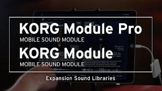 KORG Module | Expansion Sound Libraries