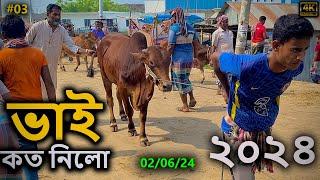 Bhai Koto Nilo 2024 | City Hat Catle Market | Qurbani Cow Price