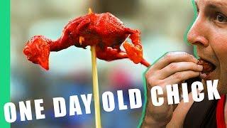 One Day Old (Baby Chicks) - Philippines Street Food